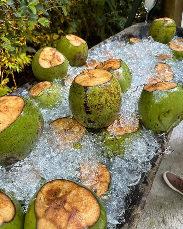 Catering food arrangement and presentation